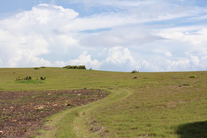 Horseback Riding Adventure Tour in St. Lucia - A balanced look at the strongest features