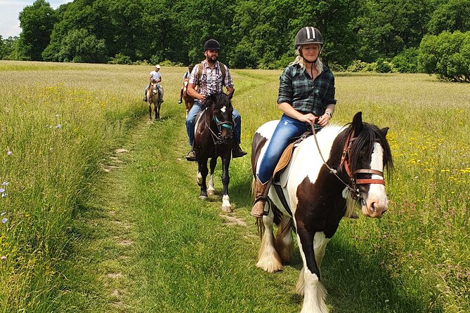 Horseback riding adventure tour through Brasov landscape - Key points to know before booking
