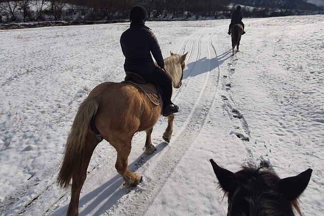 Horseback riding adventure tour through Brasov landscape - Leaving Brasov for a traditional Romanian ranch
