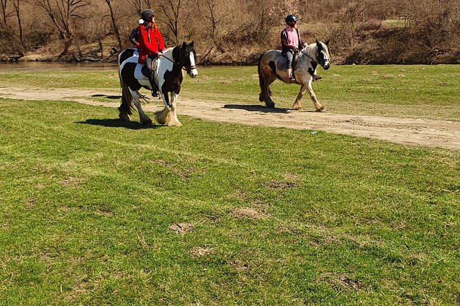 Horseback riding adventure tour through Brasov landscape - Is $326.83 a fair price for five hours?