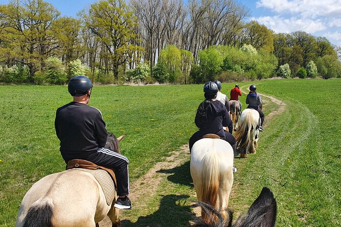 Horseback riding adventure tour through Brasov landscape - Practical details for a smooth ride