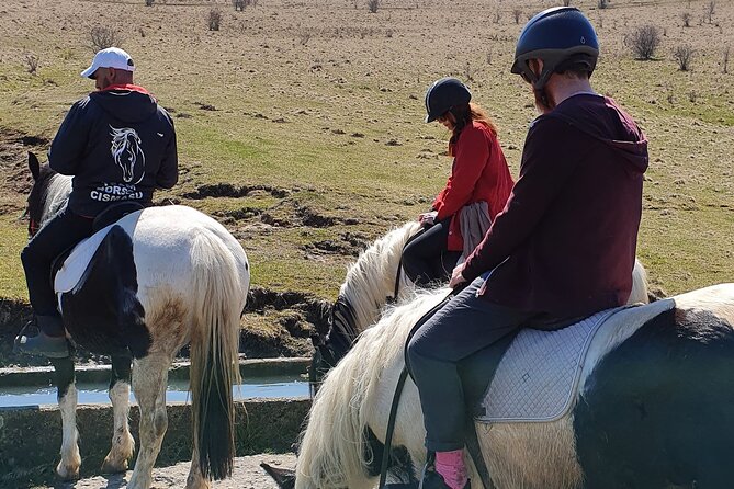Horseback riding adventure tour through Brasov landscape - Who will enjoy this Brasov horse ride?