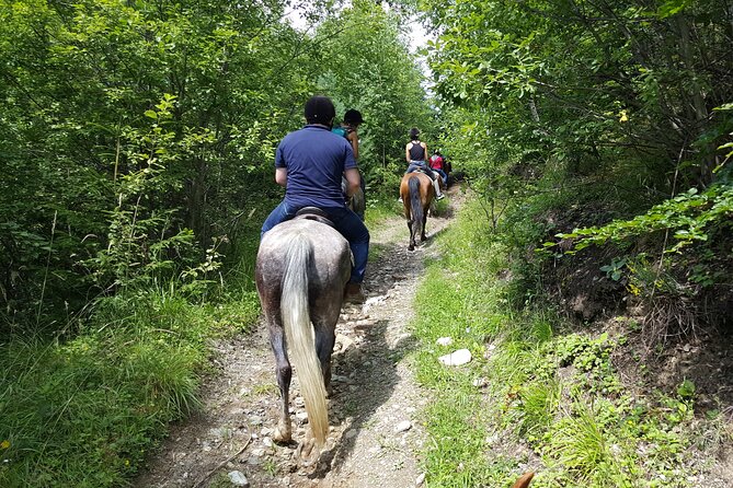 Horseback riding adventure tour through Brasov landscape - Forest paths, open fields, and Transylvanian views