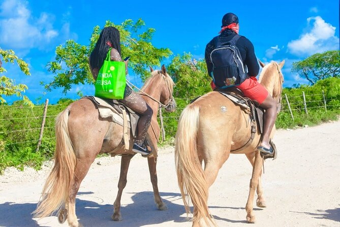 Horseback riding along Macao beach from Punta Cana - Reaching Playa Macao on horseback