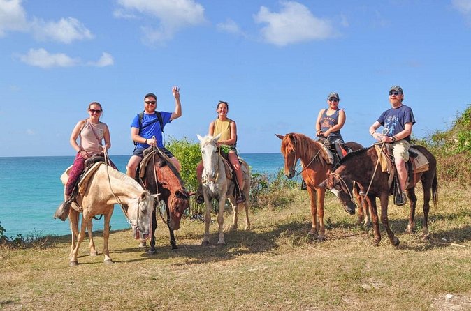 Horseback riding along Macao beach from Punta Cana - Who will enjoy this ride most