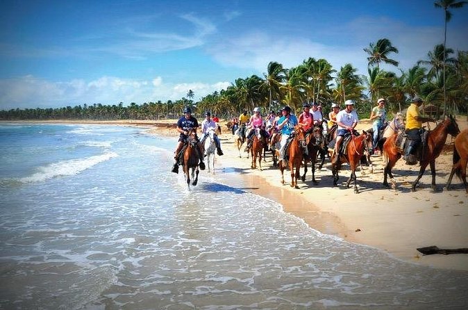 Horseback Riding along the Beach - Pickup from Punta Cana