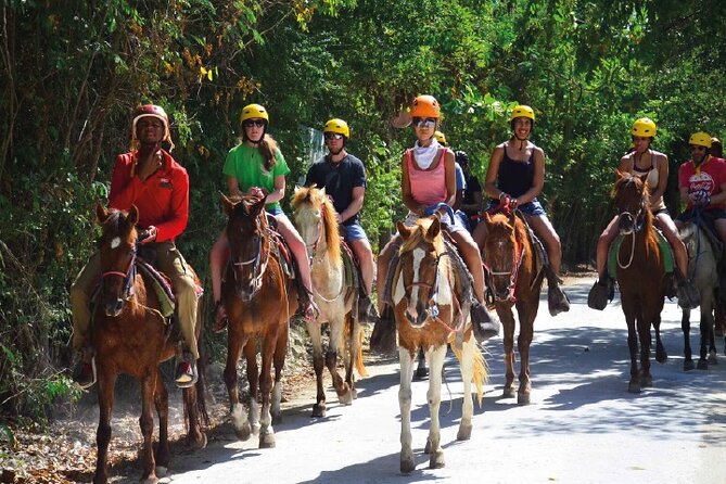 Horseback Riding along the Beach - Is $60 a fair price?