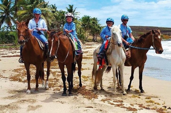 Horseback Riding along the Beach - Who will enjoy this ride most