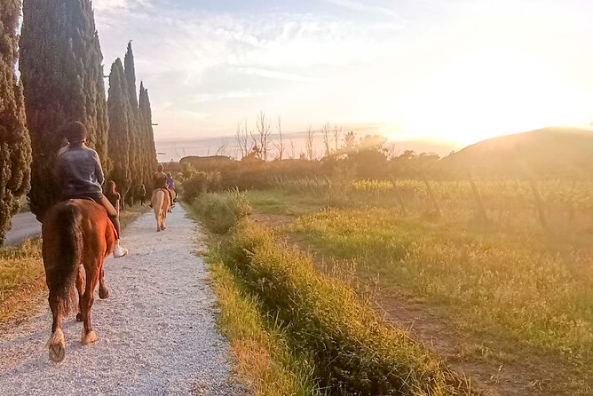 Horseback riding and aperitif 2 hours for beginners - Key points at a glance