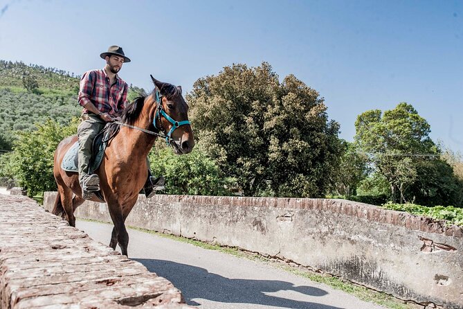 Horseback riding and aperitif 2 hours for beginners - Caprona and the Upezzinghi tower