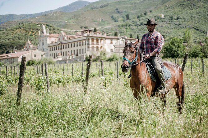 Horseback riding and aperitif 2 hours for beginners - Through the woods and across the stream