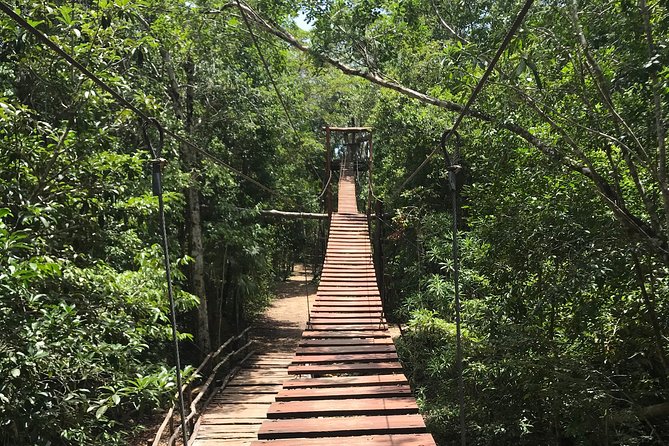 Horseback riding and ATV in the jungle, Ziplines, Cenote & Lunch - Cenote Maya, the cool finish