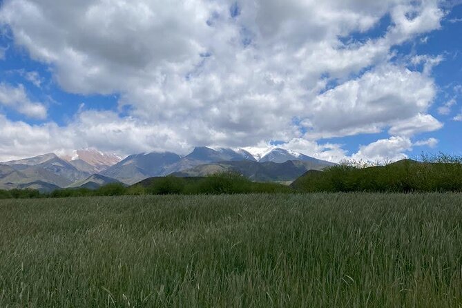 Horseback riding and barbecue in a private ranch - La Carrera, Mendoza - Meeting the horses and preparing to ride