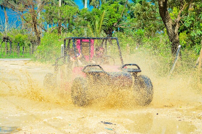 Horseback Riding and Buggy and Macau Cave and Beach Tour - What the $65 price really covers