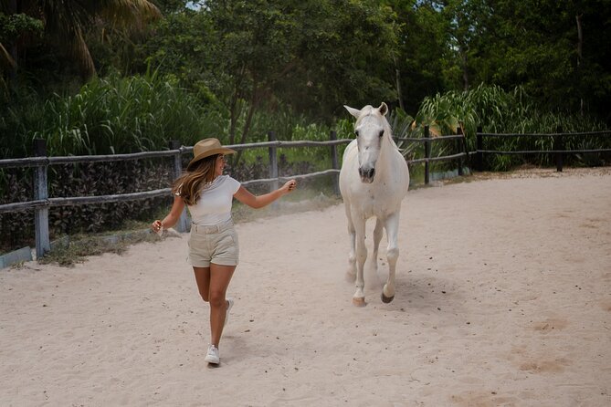 Horseback Riding and Cenote Swim from Cancun or Playa del Carmen - A gentle ride through the Yucatan jungle
