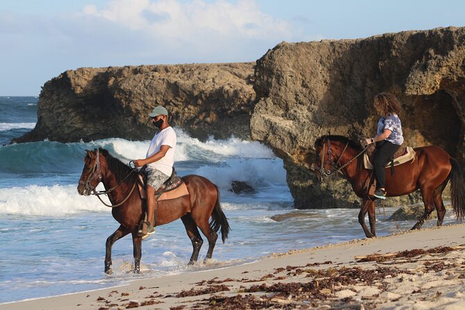Horseback Riding and Natural Pool Adventure in Aruba - Key details to know before you book