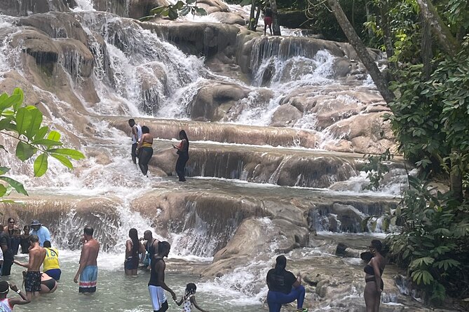 Horseback Riding and Swimming then Dunn's River Falls - Key points to know before booking