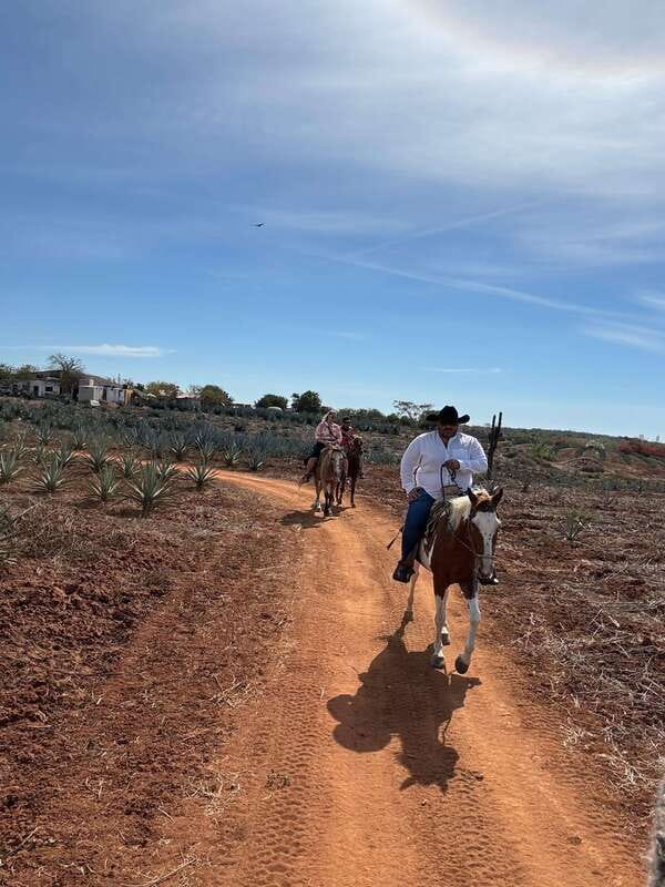 Horseback riding and Temazcal combo with lunch and mezcal - What the Ride Through Sinaloa Offers
