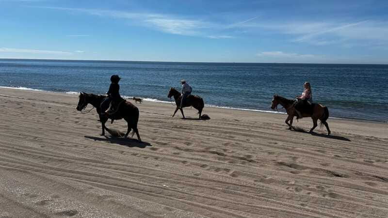 Horseback riding and Temazcal combo with lunch and mezcal - Is $198 a Fair Price?