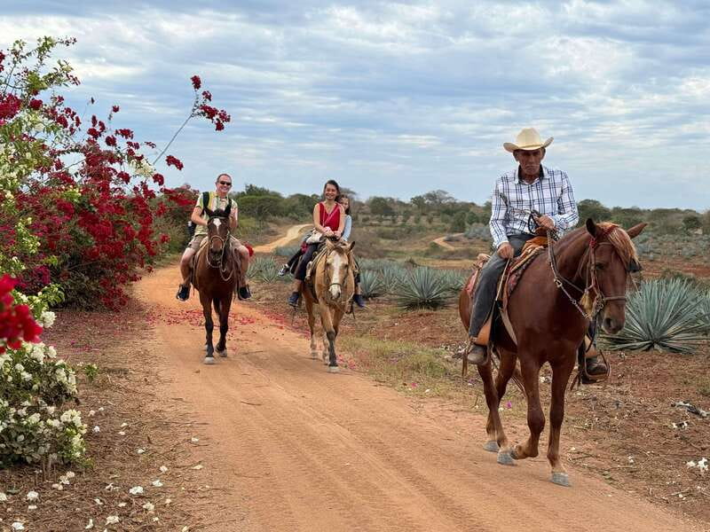 Horseback riding and Temazcal combo with lunch and mezcal - Who Should Book This Day