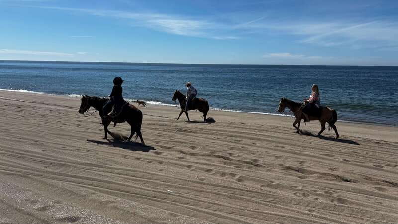 Horseback riding and Temazcal combo with lunch and mezcal - Lunch Is More Than a Quick Stop