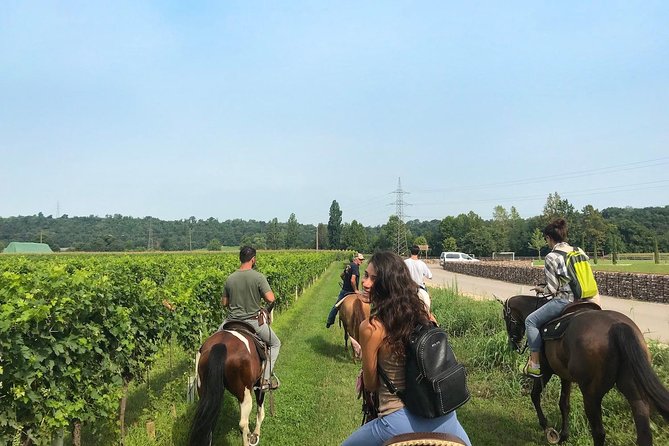 Horseback riding and wine tasting - Key points to know before booking