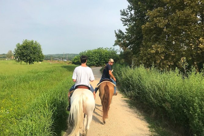 Horseback riding and wine tasting - A horseback ride with real participation