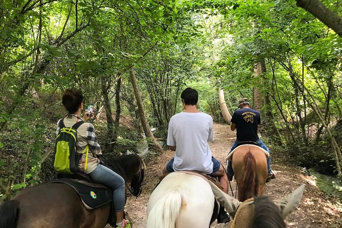 Horseback riding and wine tasting - The Custoza winery and its cellar