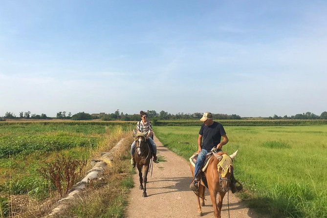 Horseback riding and wine tasting - Getting to the start in Villafranca