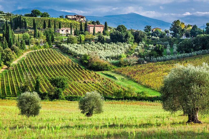 Horseback Riding and Wine Tasting Tour - A horseback ride before the wine begins
