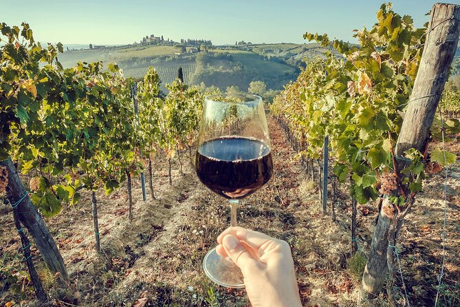 Horseback Riding and Wine Tasting Tour - Guides who shape the day