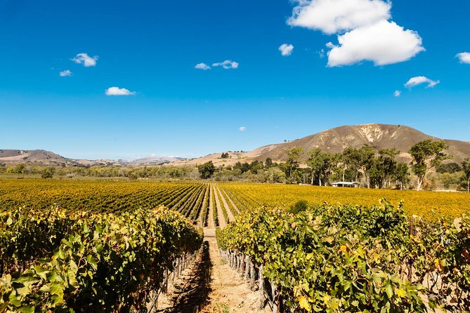 Horseback Riding and Wine Tasting Tour - Who will enjoy this day most