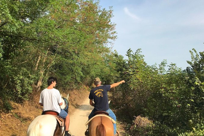 Horseback riding and wine tasting - What the horse preparation tells you
