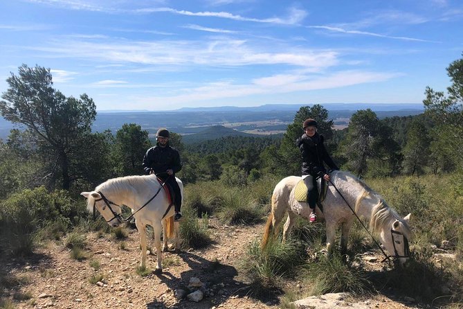 Horseback riding and wine tour (private tour) - A Countryside Morning Beyond Valencia