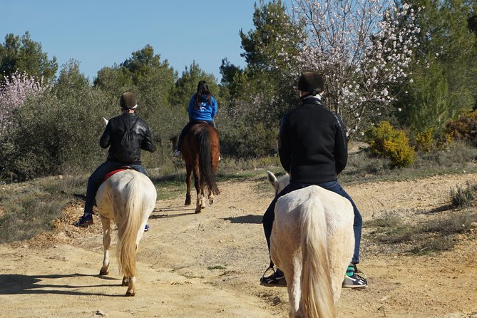 Horseback riding and wine tour (private tour) - Getting to the Utiel-Requena Wine Country