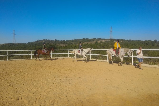 Horseback riding and wine tour (private tour) - Judging the $180.62 Price
