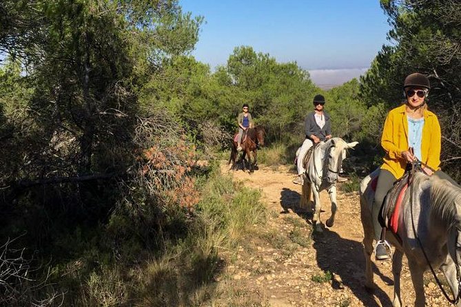 Horseback riding and wine tour (private tour) - Who Will Enjoy This Best