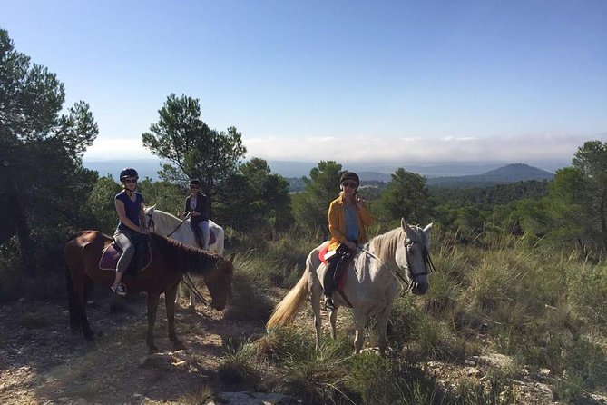 Horseback riding and wine tour (private tour) - From Saddle to Wine Glass