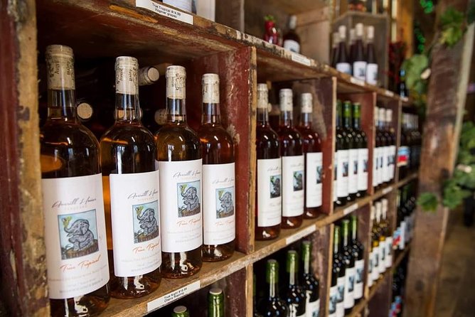 Horseback Riding and Wine Tours - A five-hour morning in Cape wine country