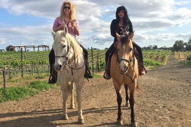 Horseback Riding and Wine Tours - The strongest part of the experience