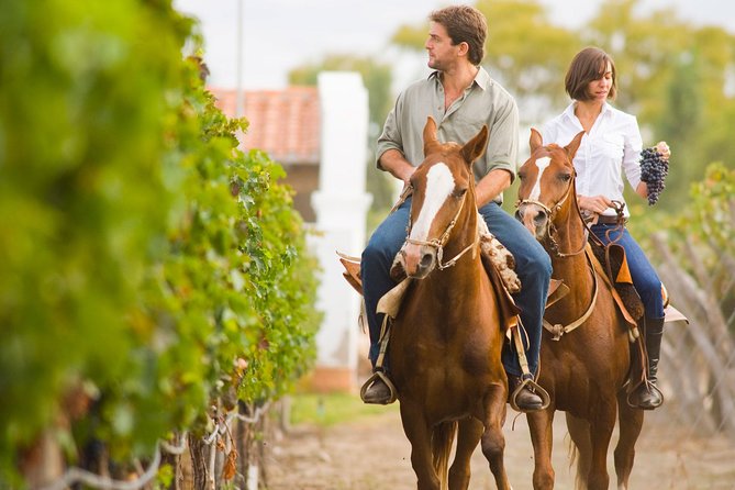 Horseback Riding and Winery Lunch Experience in San Gimignano - Key points to know before booking