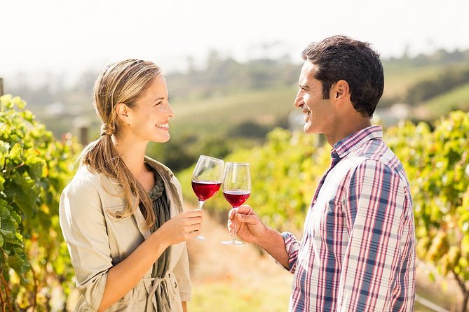 Horseback Riding and Winery Lunch Experience in San Gimignano - Why this San Gimignano outing works