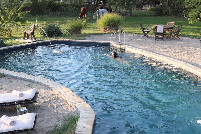 Horseback Riding and yurt stay in the Puszta, 1 hour morning ride - Breakfast with products from the region