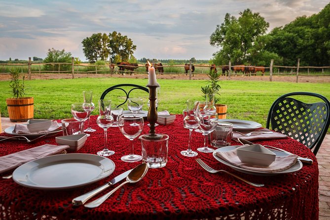 Horseback Riding and yurt stay in the Puszta, 1 hour morning ride - Riding through the Southern Hungarian Puszta