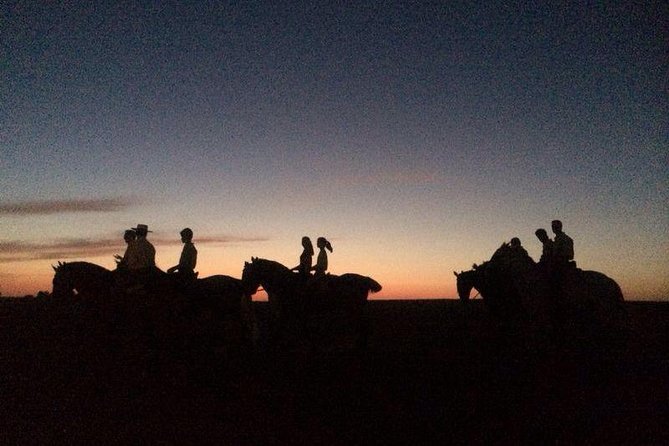 Horseback riding around Doñana National Park - Key points at a glance