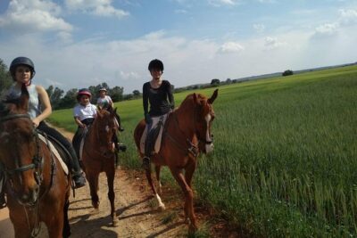Horseback riding around Doñana National Park