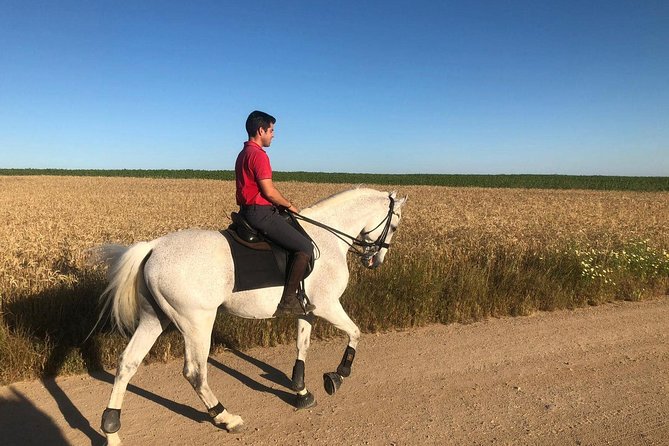 Horseback riding around Doñana National Park - Is $102.80 a fair price?
