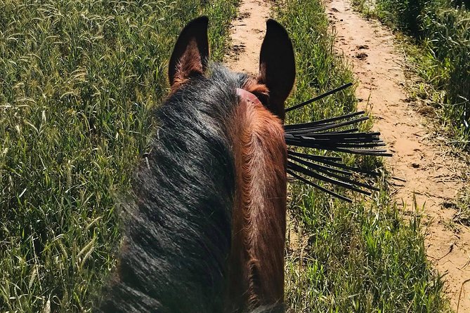 Horseback riding around Doñana National Park - Who will enjoy this ride most?