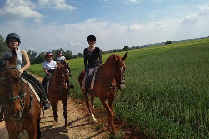 Horseback riding around Doñana National Park - Choosing your horse and finding your balance