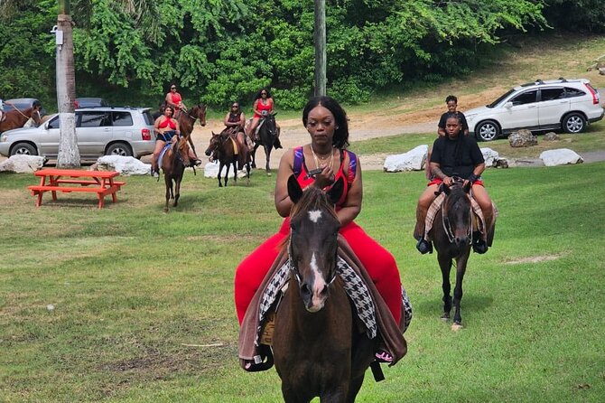 Horseback Riding at Hawksbill Beach in Five islands Antigua - Horses, care, and comfort